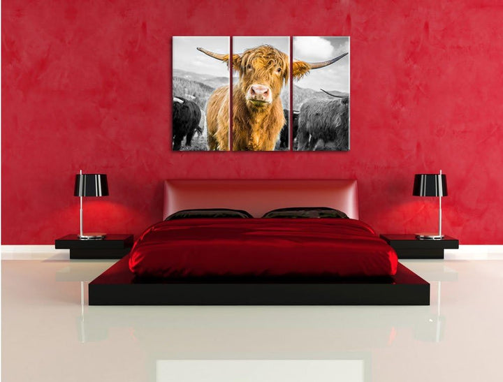 Pixxprint Niedlicher Blick Einer Kuh an der Weide B&W Detail 3-Teiler Leinwandbild 120x80 Bild auf L