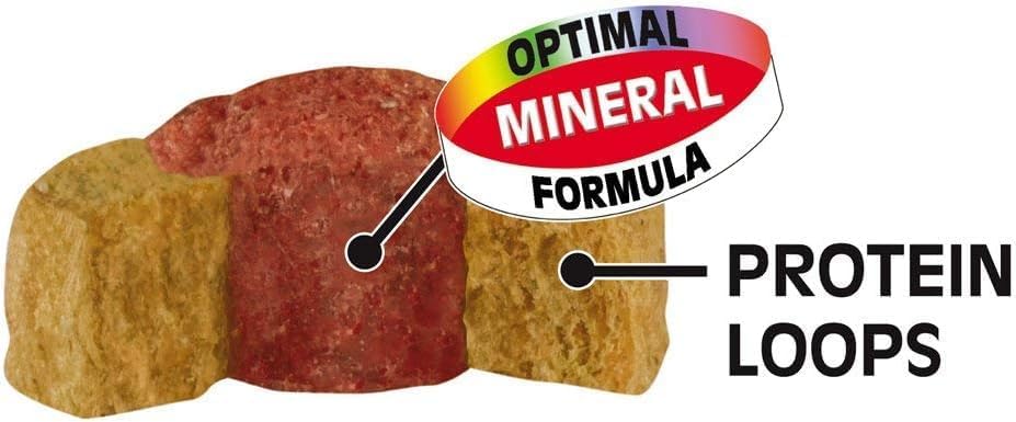 sera reptil Professional Carnivor Nature 10 L (3,3 kg) - Das Zweikomponentenfutter für Carnivore Rep