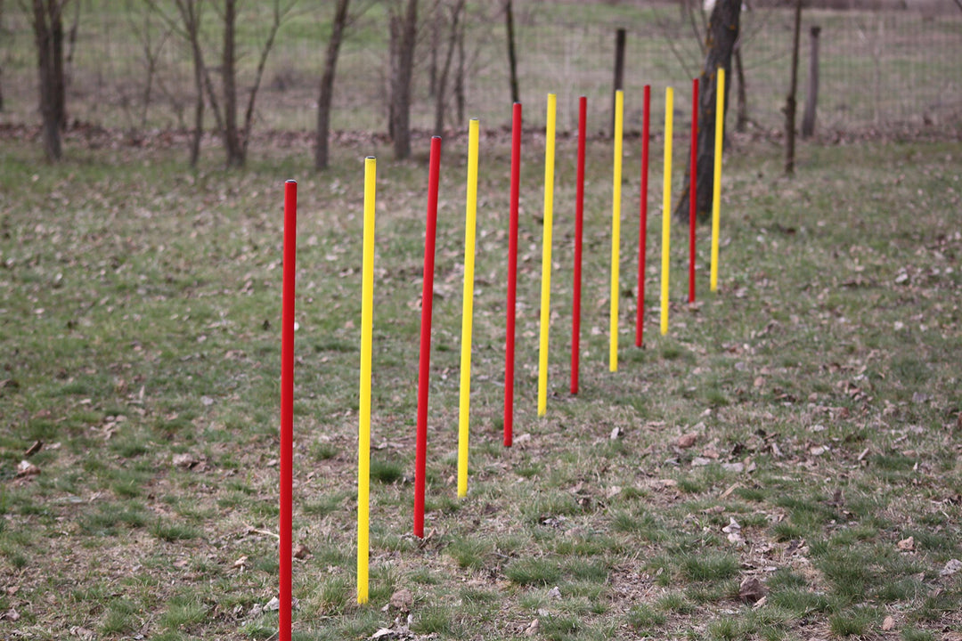 AGILITY-ÜBUNGS-SLALOM-SET ROT/GELB FLEXIBLE,RUNDE STANGEN