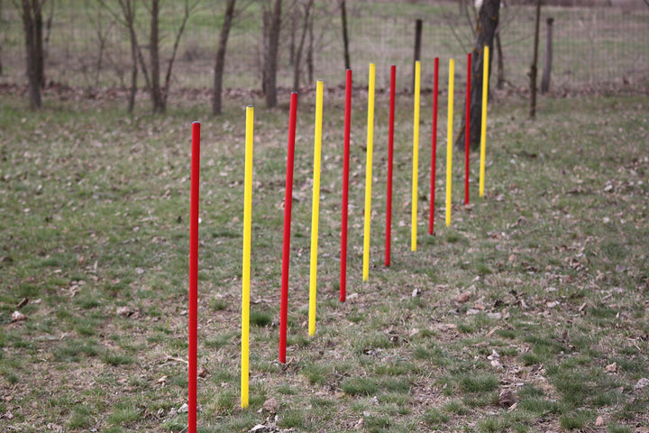 AGILITY-ÜBUNGS-SLALOM-SET ROT/GELB FLEXIBLE,RUNDE STANGEN
