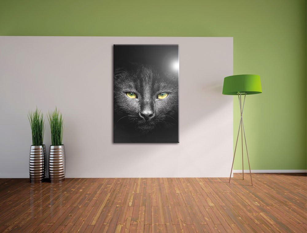 Pixxprint Katzenkopf mit düsterem Hintergrund als Leinwandbild/Grösse: 100x70 cm/Wandbild/Kunstdruck
