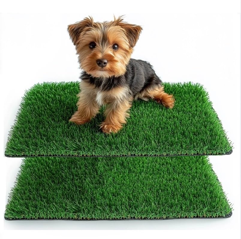 38*50CM Hundeklo für Zuhause & Hundetoilette Balkon Welpen Training Hundetoilette Ersatzrasen mit Ku