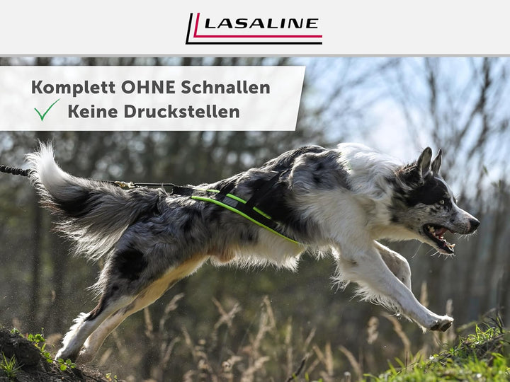 LASALINE Hunde Zuggeschirr X Back für Canicross Hundesport Dogscooter Bikejöring Schlitten in Schwar