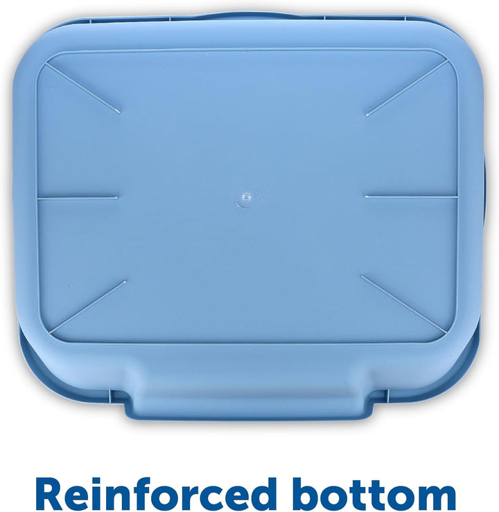 Kitty Go Here Katzentoilette Senior, 61 x 50,8 x 12,7 cm, Blau, Blau Large (1 Pack)