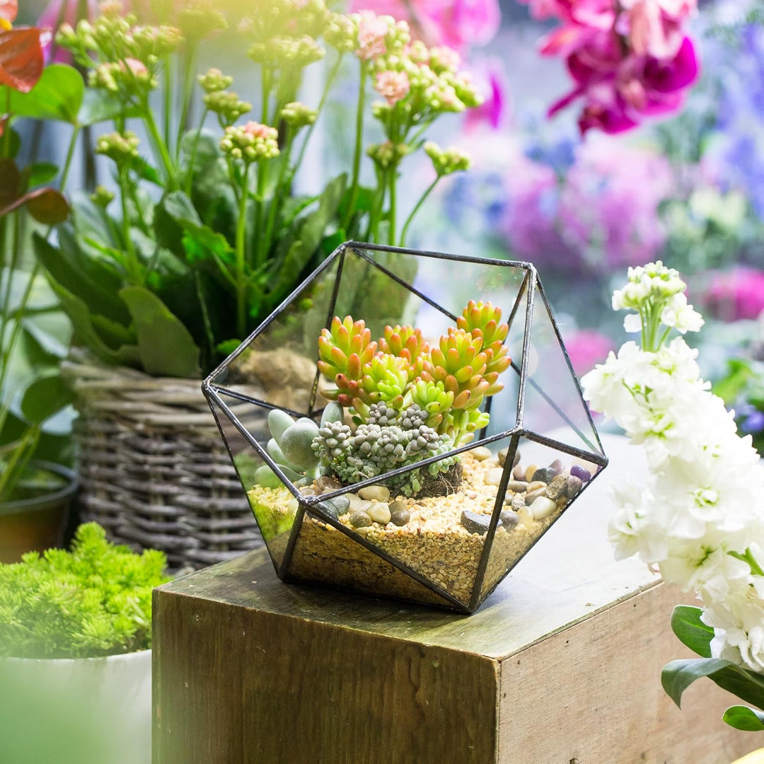 NCYP Handmade Blumentopf,Gemoetrisches Glasterrarium, dreieckig, in Form Einer Halbkugel, für Balkon