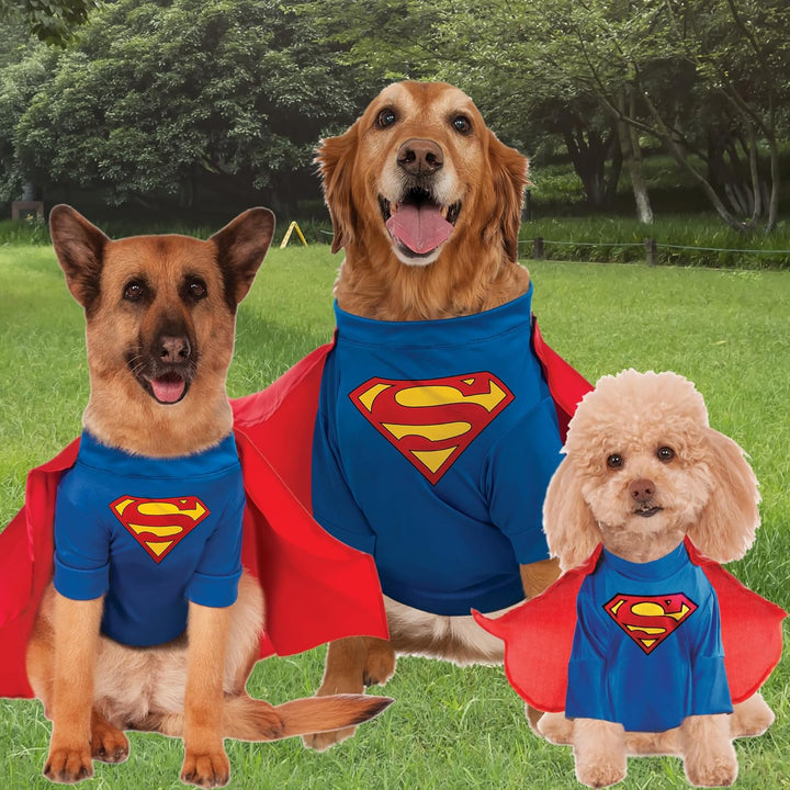 DC Comics Haustierkostüm Superman, gross Large (Pack of 1), Large (Pack of 1)