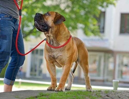 HUNTER FREESTYLE Retriever-Leine, mit integrierter Halsung, witterungsbeständig, 1,0 x 170 cm, schwa