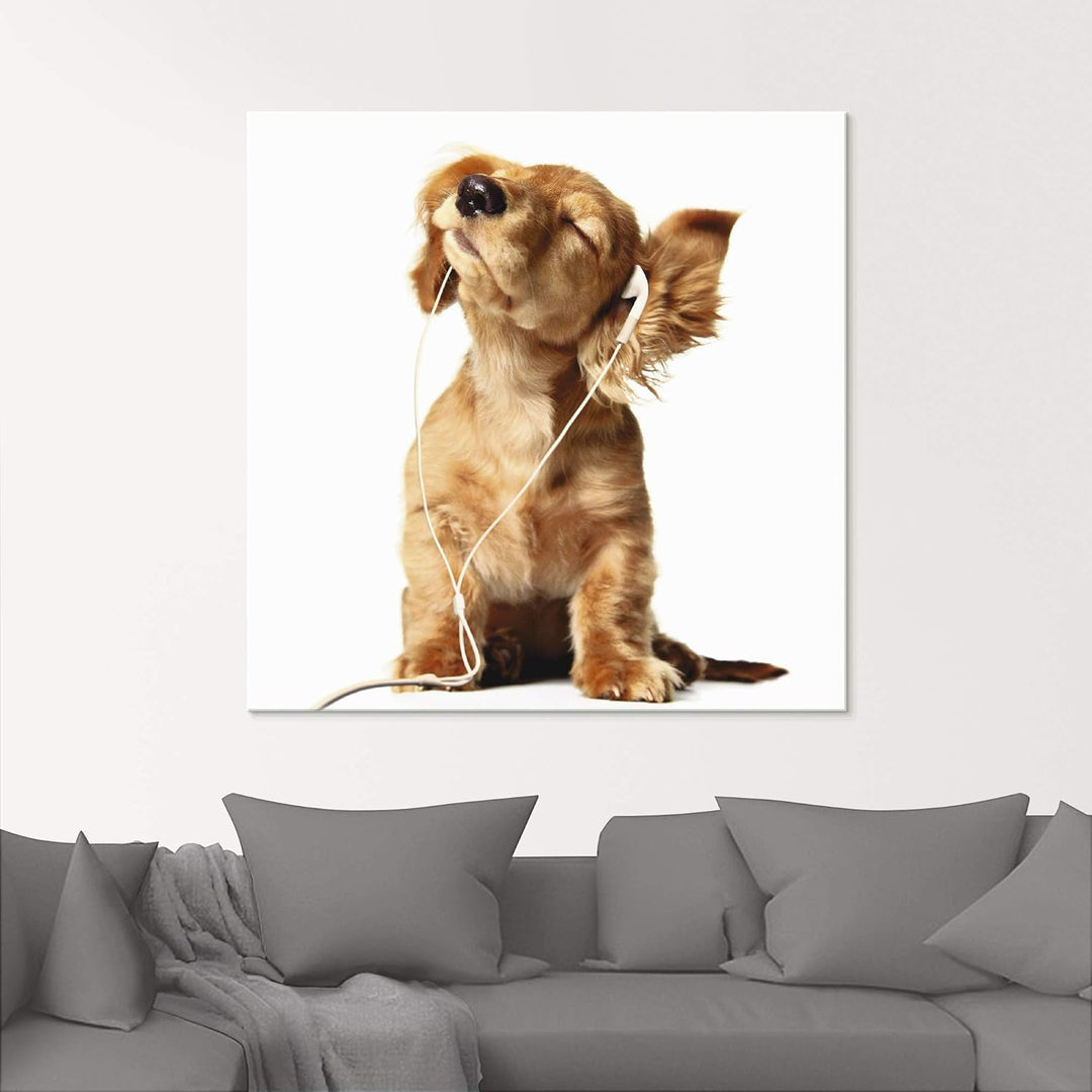 ARTland Glasbilder Wandbild Glas Bild einteilig 50x50 cm Quadratisch Hund Tiere Musik Dackel Welpen