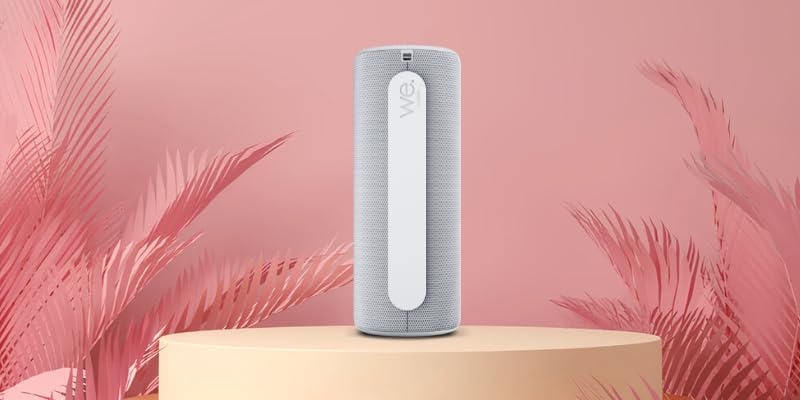 Loewe We. HEAR 2 Cool Grey, Bluetooth Lautsprecher, 60W, Wasserresistent, Tragbar, Aufladbar, 17h La
