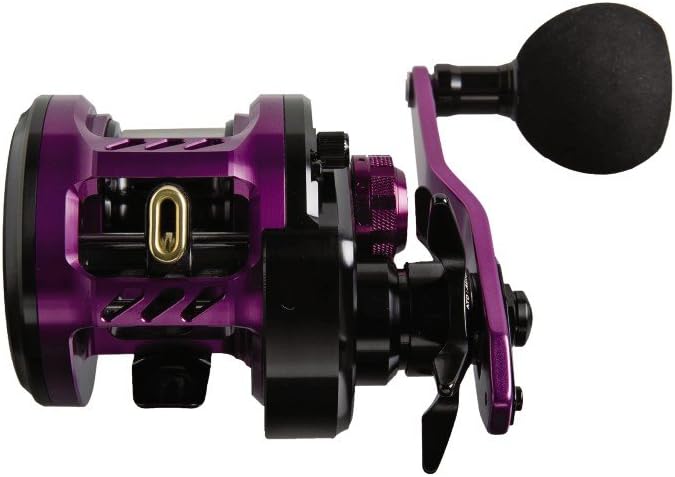 Nein Daiwa Kyohga 100SHL Baitcastrolle Multirolle Bay Jigging Rolle