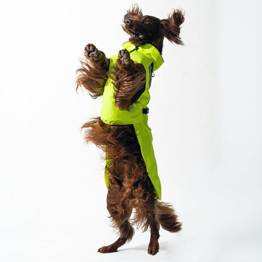 DOGOPAL Regenmantel Hund wasserdicht für kleine &amp; grosse Hunde - Gelber Hunderegenmantel mit Reflekt