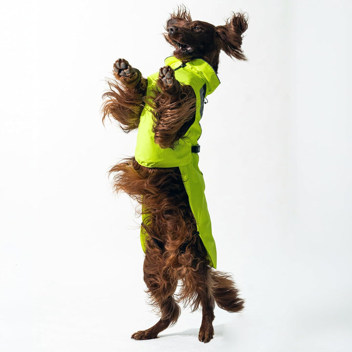 DOGOPAL Regenmantel Hund wasserdicht für kleine &amp; grosse Hunde - Gelber Hunderegenmantel mit Reflekt