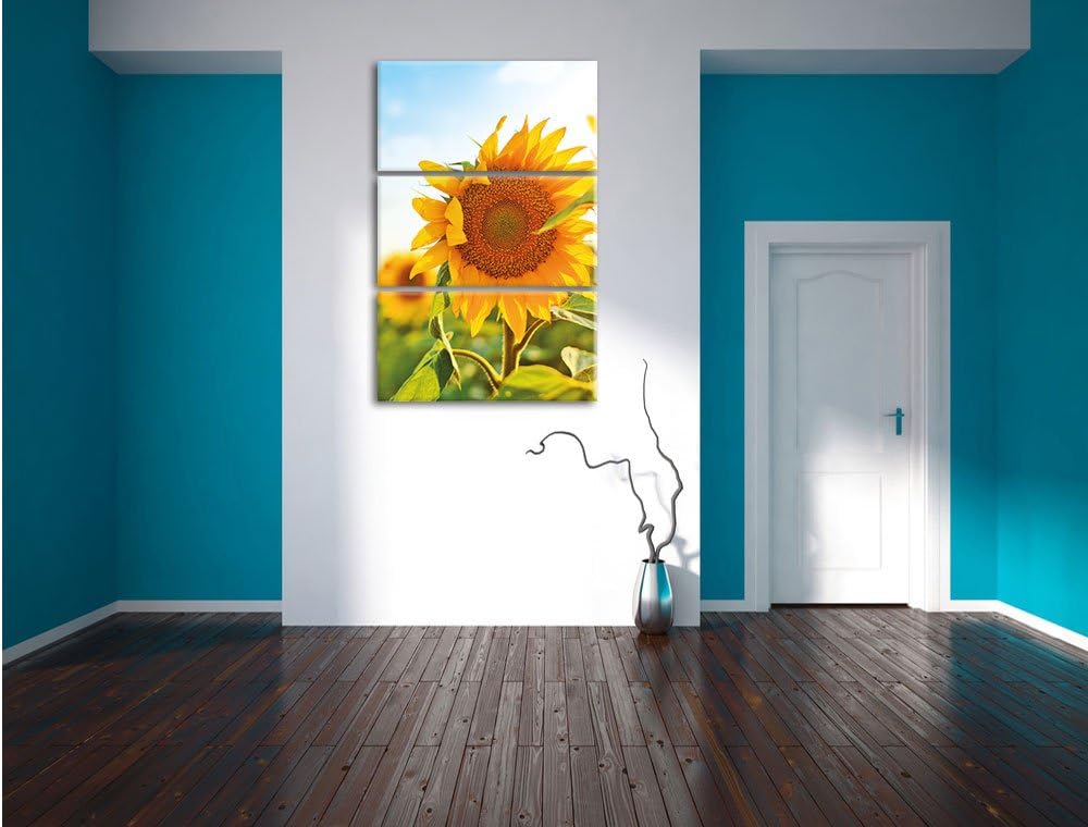 Pixxprint Sonnenblumenfeld SonnenblumeSonne als Leinwandbild/Grösse: 3 Teilig (120x80) cm/Wandbild/K