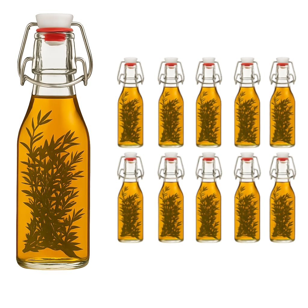 hocz 10er Set Bügelflaschen Bügelflasche Glasflaschen 200ml mit Bügelverschluss zum Selbstbefüllen B