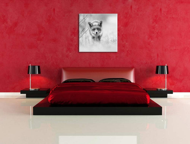 Pixxprint hübscher schleichender Fuchs als Leinwandbild Quadratisch/Grösse: 70x70 / Wandbild/Kunstdr