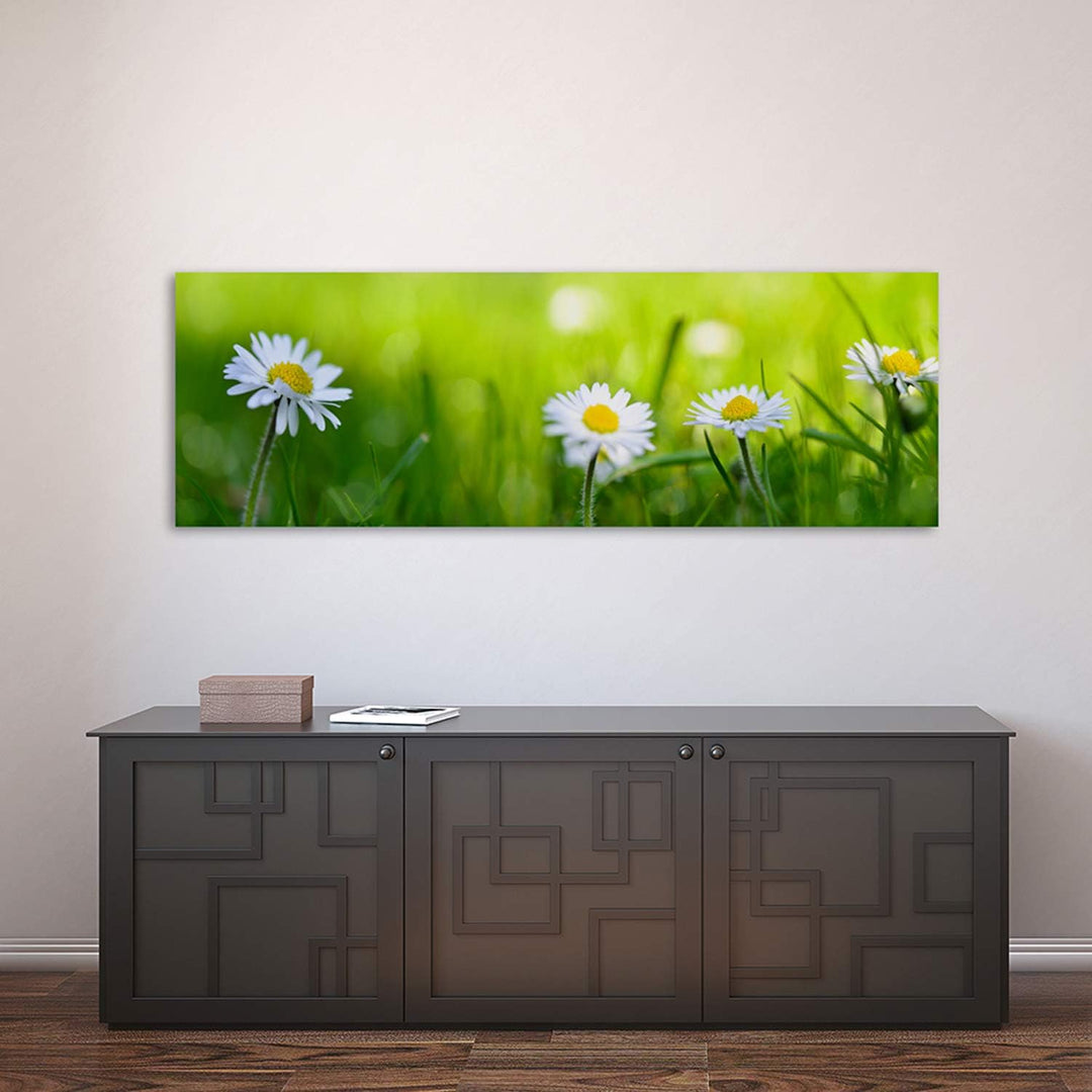 Feeby. Leinwandbild, Bilder, Wand Bild, Wandbilder, Kunstdruck 100x40 cm, GÄNSEBLÜMCHEN, NATUR, GRÜN