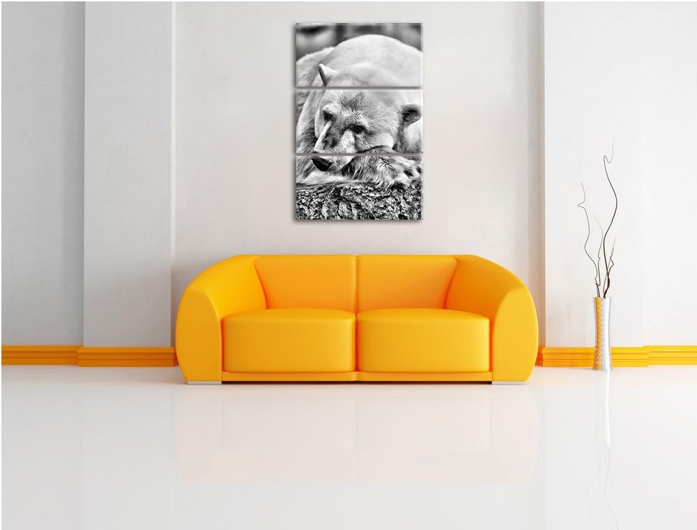 Pixxprint Monocrome, schlafender Eisbär 3-Teiler Leinwandbild 120x80 Bild auf Leinwand