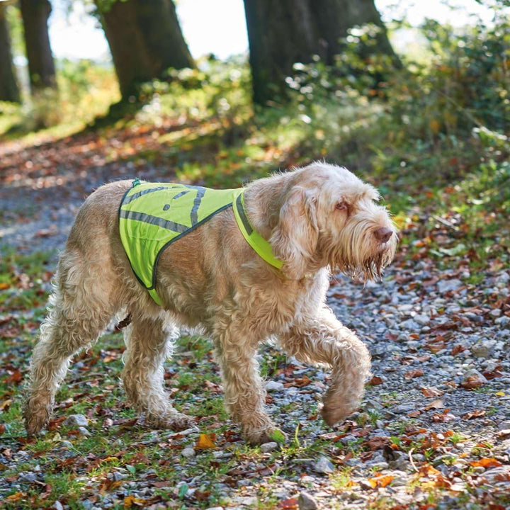 HUNTER Warnweste für Hunde, vielseitig einstzbar, höhere Sichtbarkeit, stufenlos verstellbar, wasser