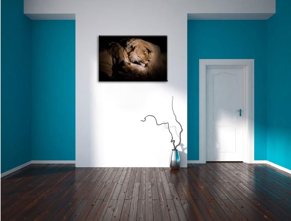 Pixxprint Männer & Frauen Löwe kuscheln, Format: 100x70 auf Leinwand, 100x70