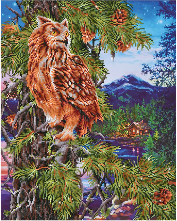 Diamond Dotz DD12-025 Eule, ca. 47 x 59 cm gross, Diamond Painting, Malen mit Diamanten, funkelndes