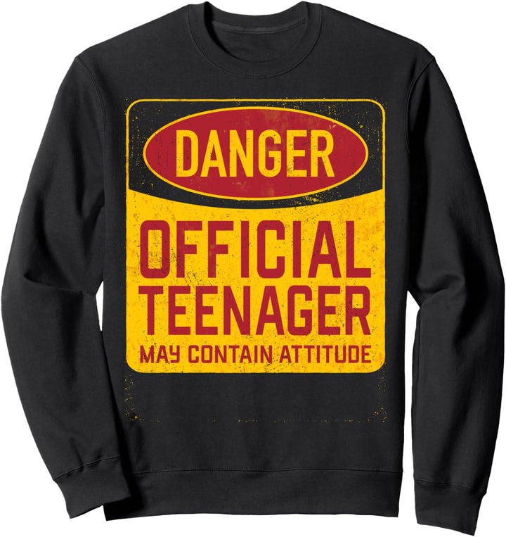 Funny Teenager Birthday Warning Slogan Design Sweatshirt