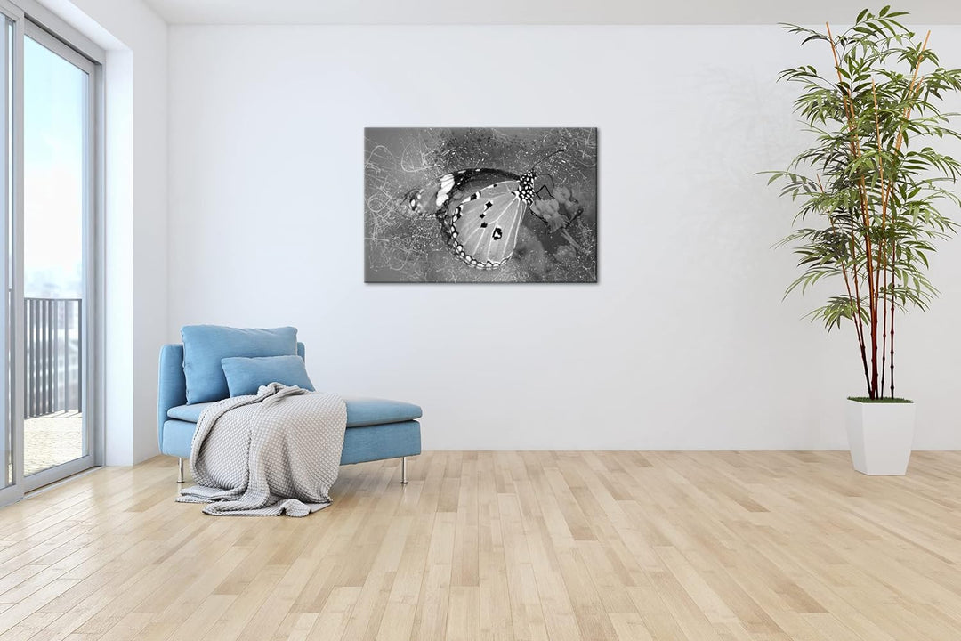 deyoli kleiner Schmetterling auf Nahrungssuche Format: 80x60 als Leinwand, Effekt: Schwarz&Weiss, Mo
