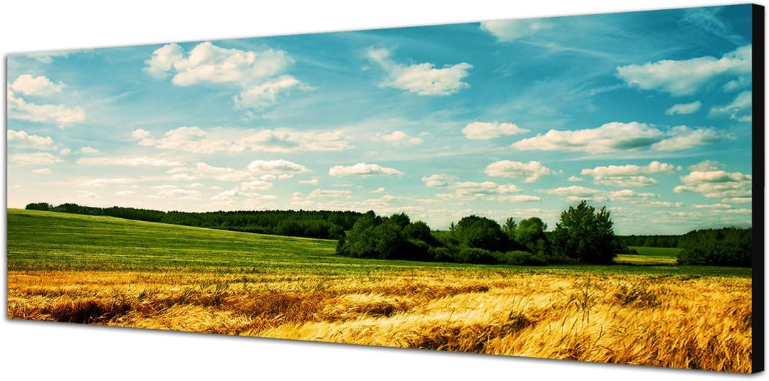 Paul Sinus Art Panoramabild auf Leinwand und Keilrahmen 120x40cm Landschaft Kornfeld Wolken Sommer