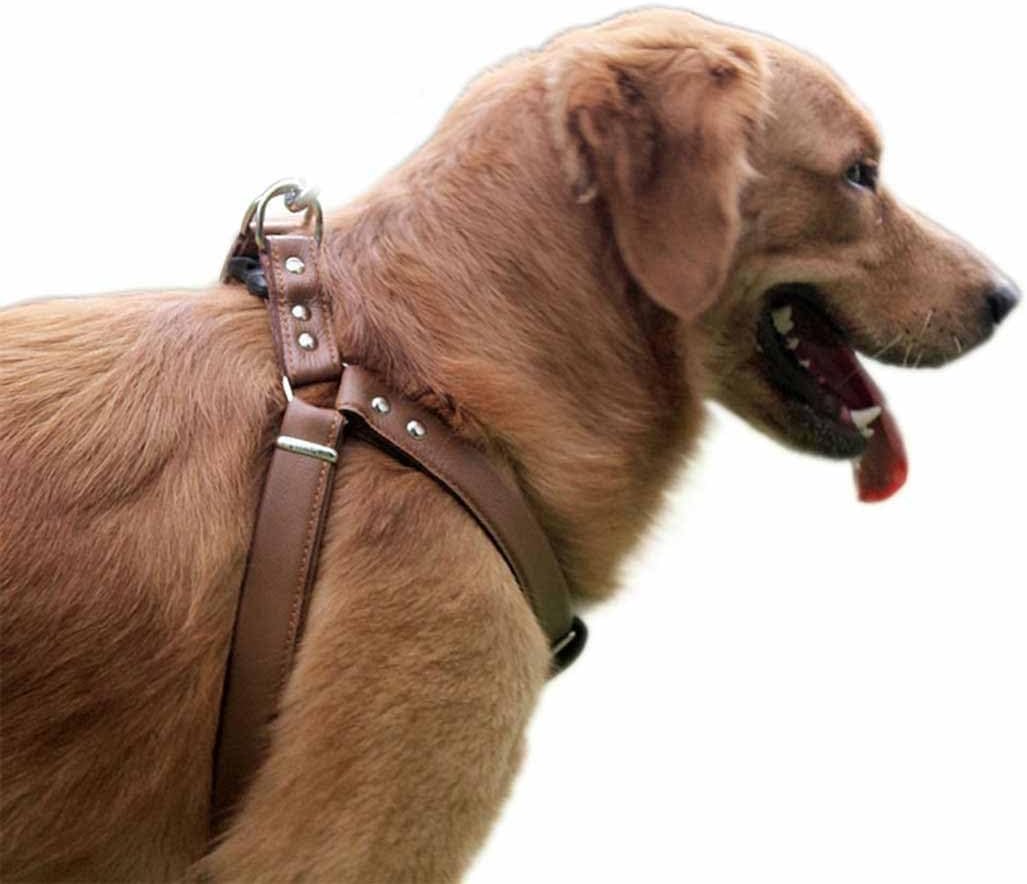 Hundegeschirr Leder Softgeschirr Verstellbare Brustgeschirre Norweger Haustier Ledergeschirr Weichem