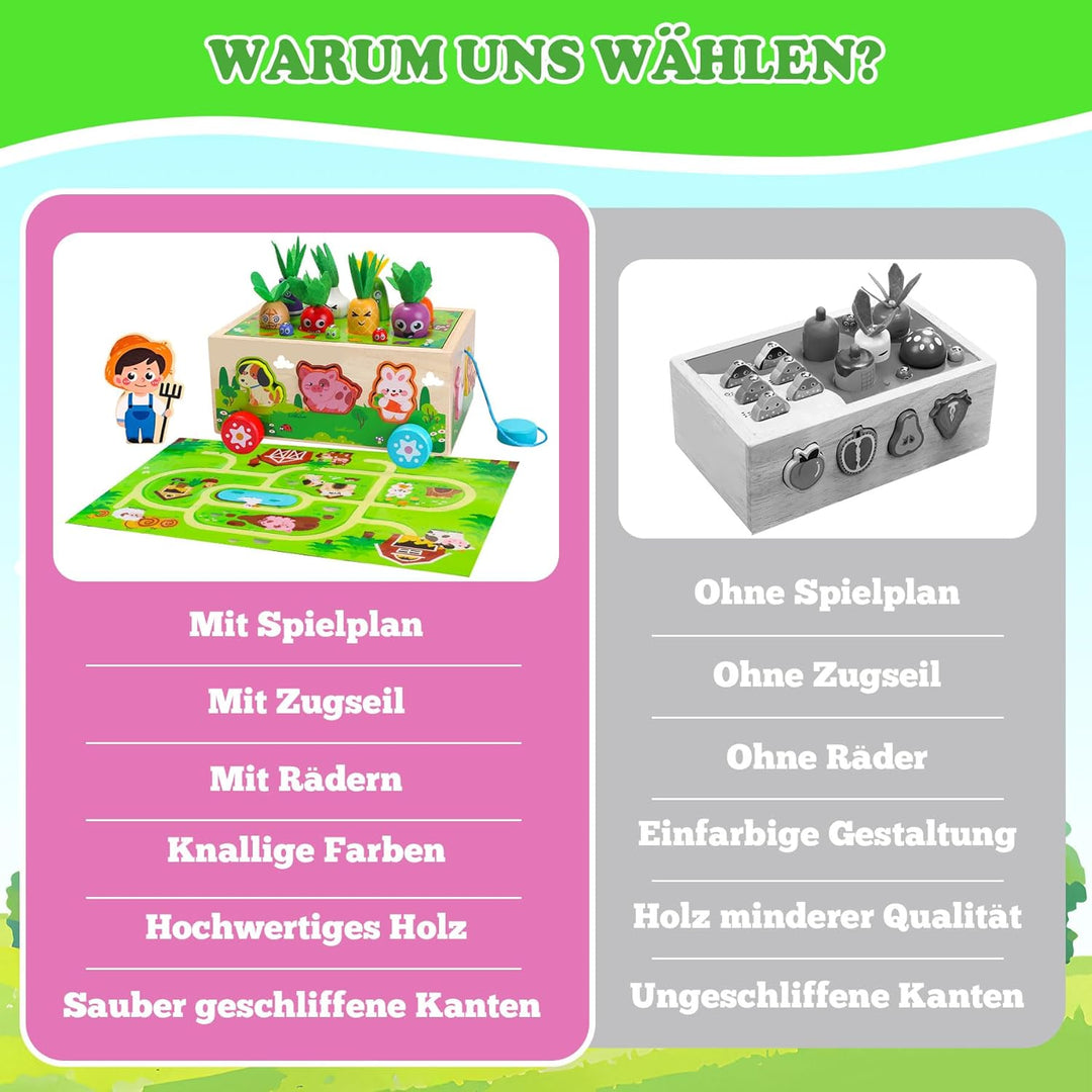 Tooysea Montessori Spielzeug ab 1 2 3 Jahr, Montessori Spielzeug Baby mit Landkarte, Karotten Stecks