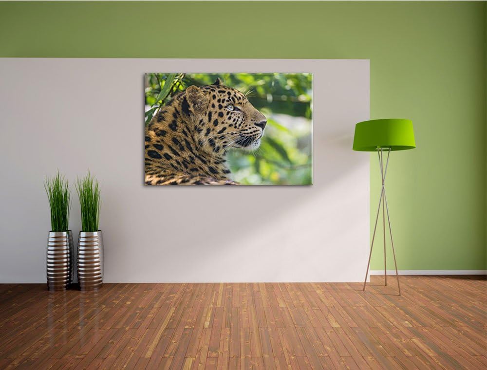 Pixxprint prächtiger Leopard im Schatten auf Leinwand, XXL riesige Bilder fertig gerahmt mit Keilrah