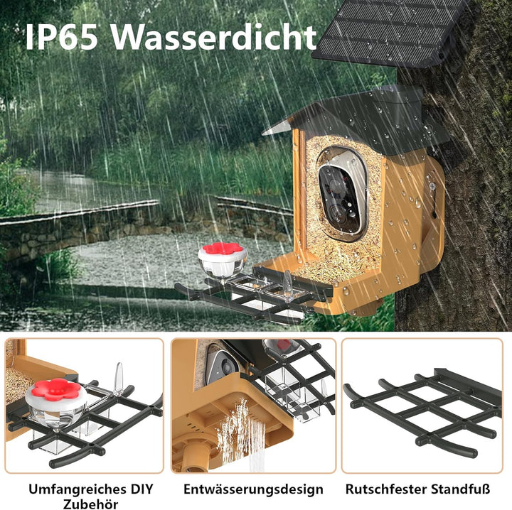 Vogelfutterhaus mit Kamera 2K HD Vollfarbe Nachtsicht KI Vogelerkennung Sofortiger Benachrichtigung
