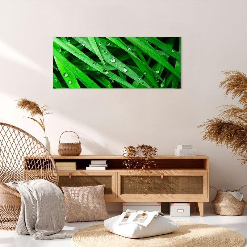 Wandbilder Dekoration Wohnzimmer Natur Gras Wasser Tropfen Panorama Bilder auf Leinwand 120x50cm Lei