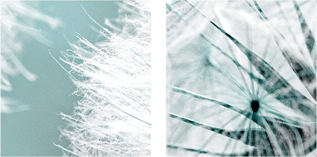 Runa Art Bild Wohnzimmer Schlafzimmer Pusteblume 5 Teilig Natur Grau Blau Wandbilder auf Vlies Leinw