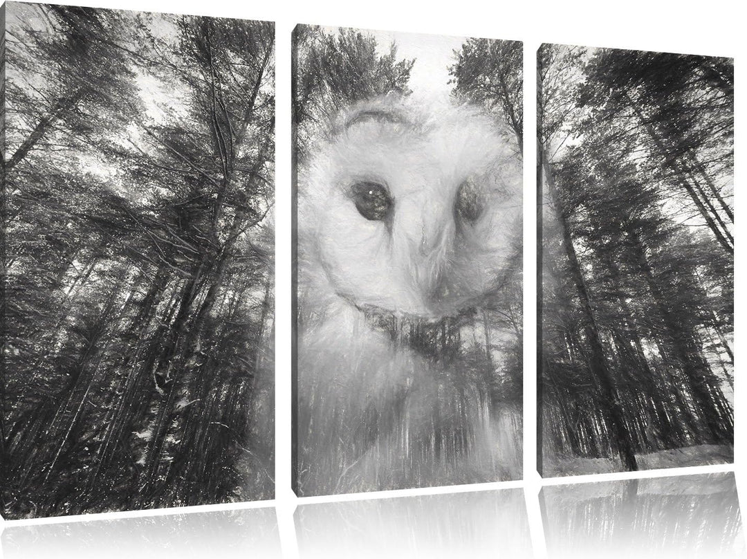 Pixxprint Portrait Einer Eule als Leinwandbild/Grösse: 3 Teilig (120x80) cm/Wandbild/Kunstdruck/fert