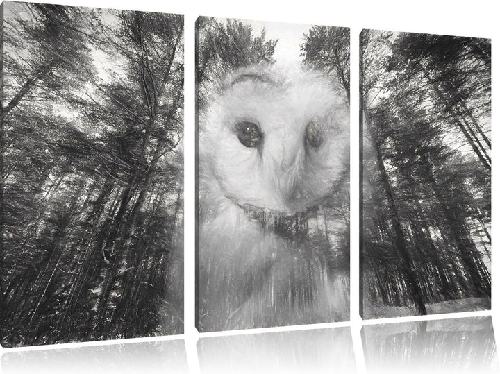 Pixxprint Portrait Einer Eule als Leinwandbild/Grösse: 3 Teilig (120x80) cm/Wandbild/Kunstdruck/fert