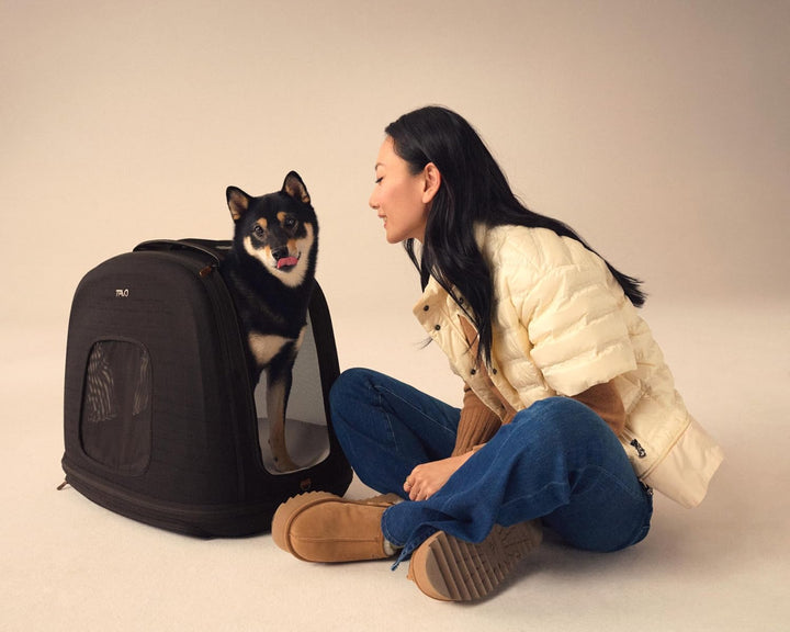 Tavo Crispin Haustier-Transportbox Small – Crash-getestete Auto-Transportbox für Hunde &amp; Katzen, ISO
