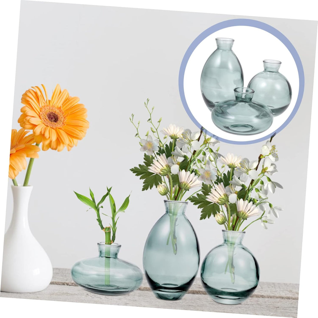 BESPORTBLE 3 Stück Vase Kleine Glasvasen Für Blumen Artificiales Decorativas para Sala Green Home De