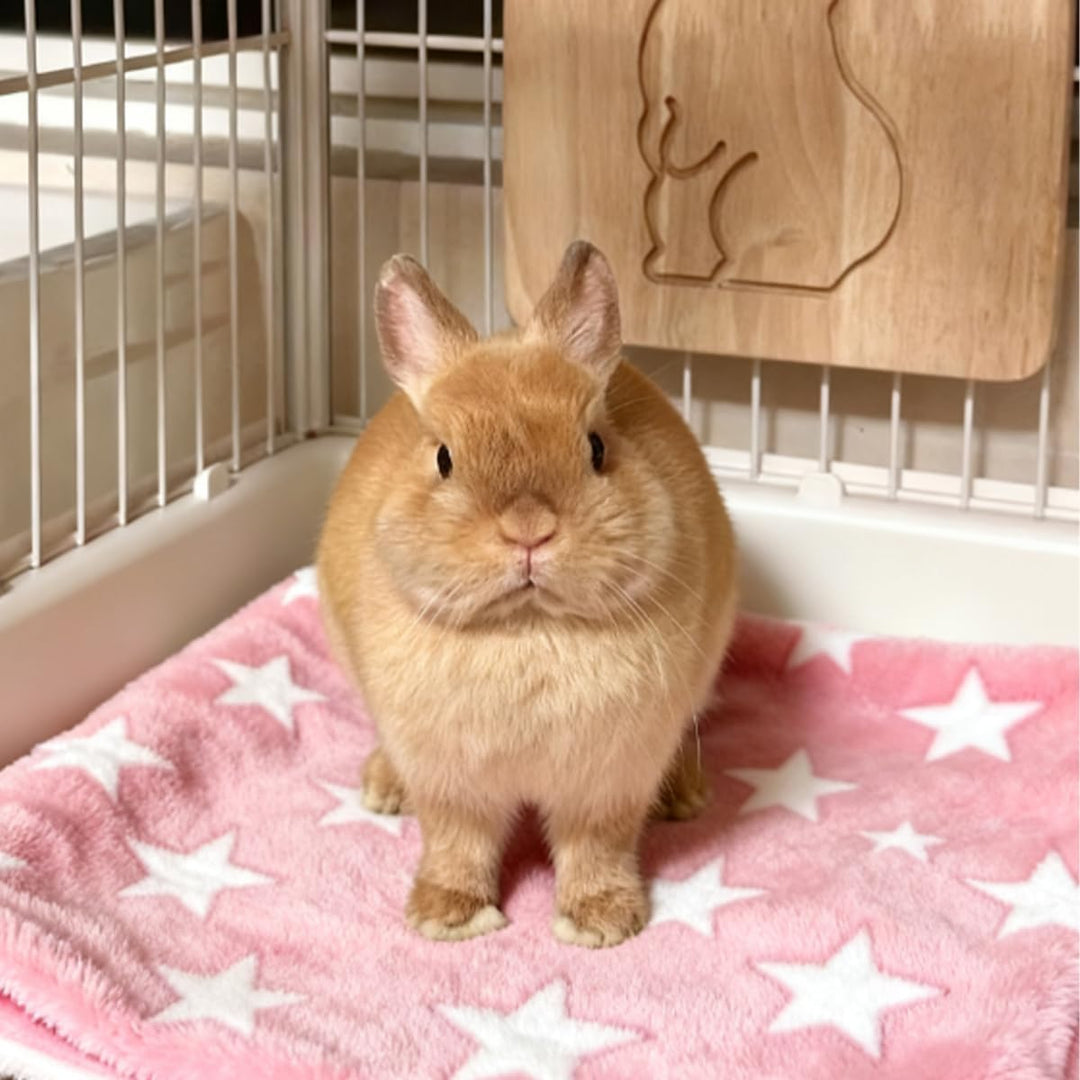4 Stück Wasserdicht Meerschweinchen Fleecedecken Kleintier-Bettmatte, Warme Flauschige Flanell Meers