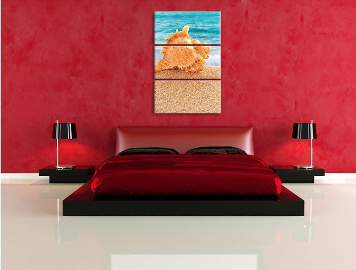 Pixxprint Muschel am Strand 3-Teiler Leinwandbild 120x80 Bild auf Leinwand