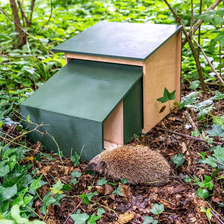 CJ Wildlife Igelhaus Winterfest – Igelfutterhaus aus FSC-Holz Grün – wetterfestes Igel Futterhaus mi