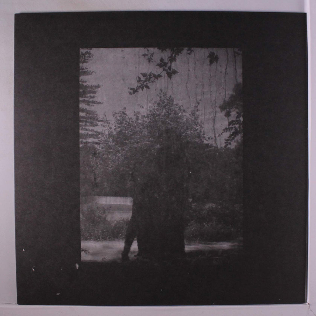 Ruins, Vinyl
