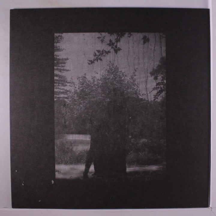 Ruins, Vinyl
