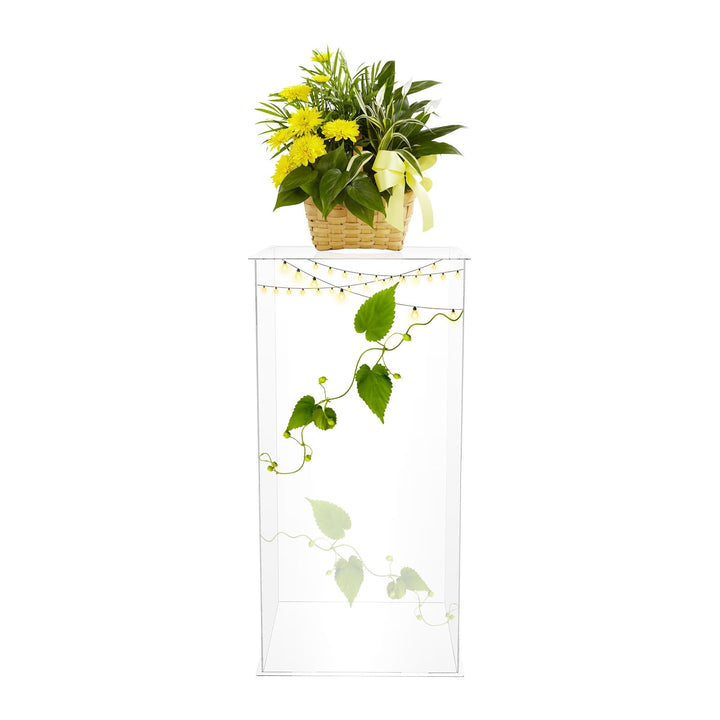 Acryl Präsentationsständer Transparent 60cm – Moderner Display Ständer für Blumen, Deko, Sammlerstüc