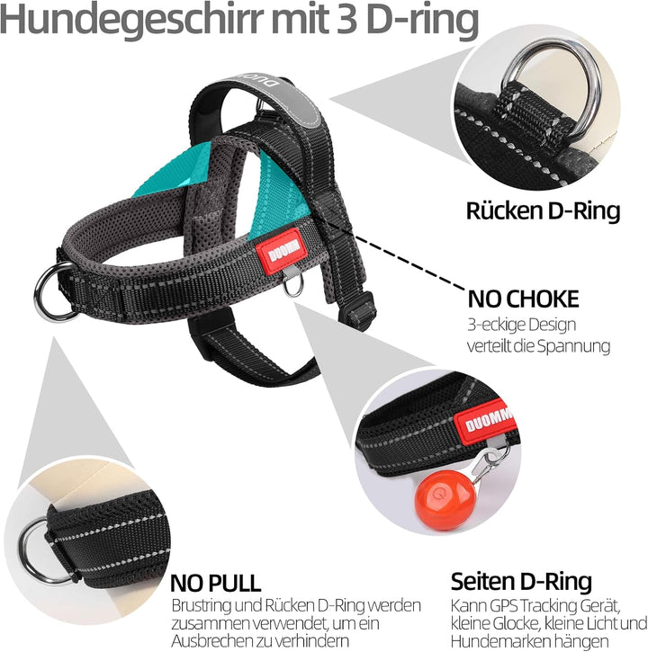 Hundegeschirr mit Leine für Mittelgrosse Kleine Hunde Welpen, Bunt Farbblock Geschirr, Mesh Gepolste