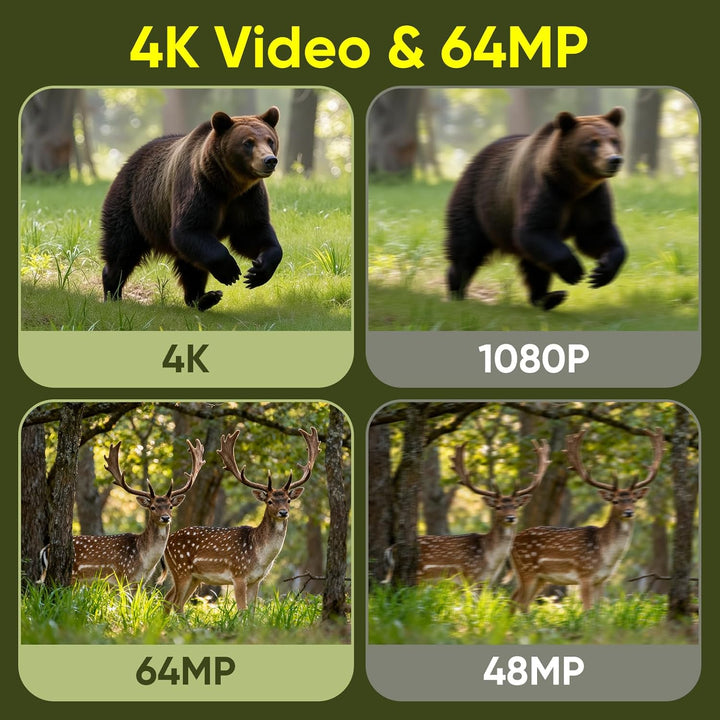 MYPIN Wildkamera 4K 64MP, Solar WLAN Jagdkamera mit Nachtsicht, 5000mAh Akku, IP66 Wasserdicht, Bewe