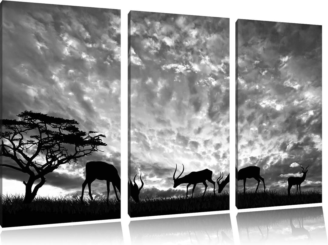 Pixxprint Tiere in der Natur / 3-Teilig/Gesamtmass 120cm Leinwandbild bespannt auf Holzrahmen/Wandbi