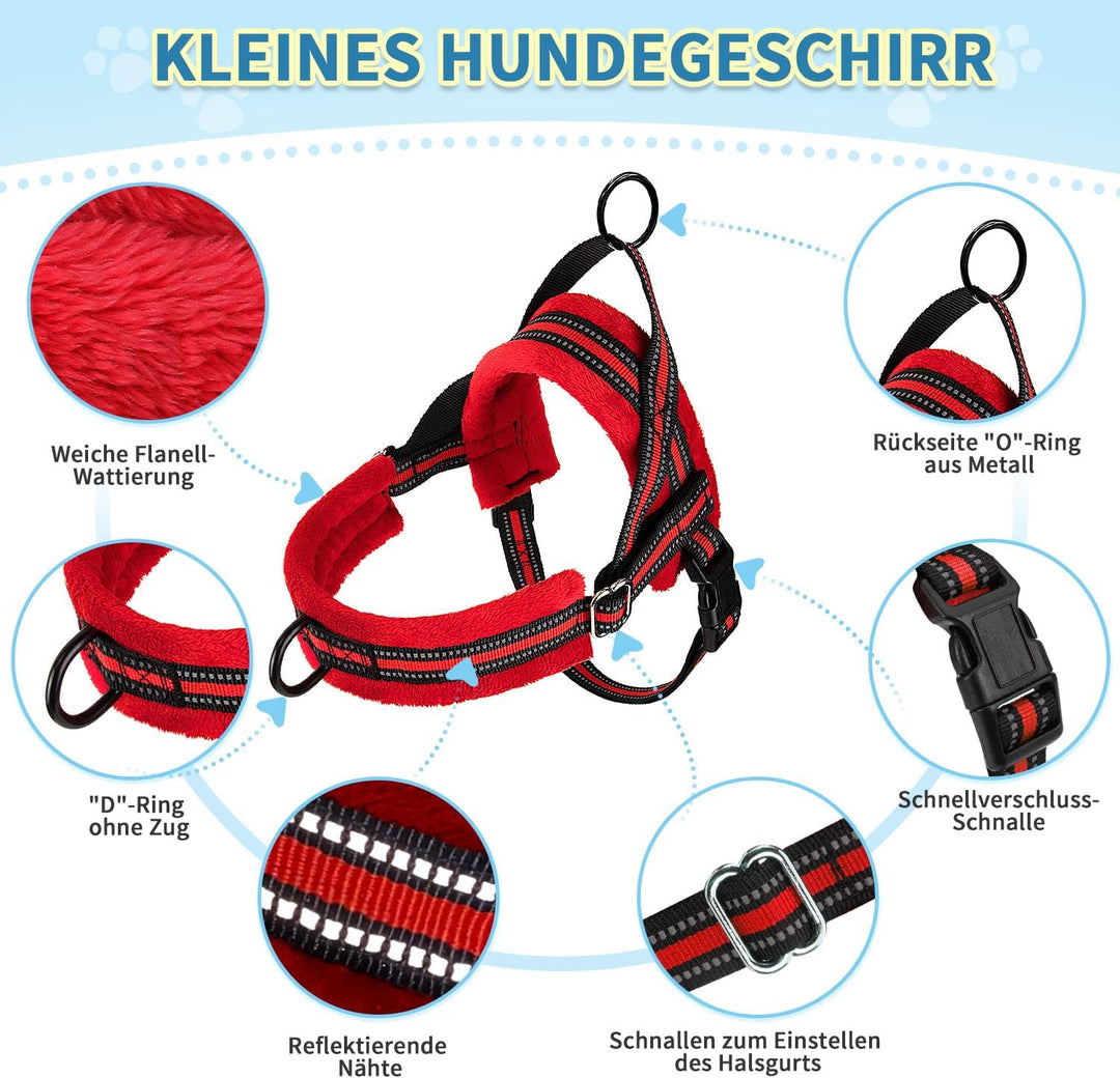 Hundegeschirr mit Leine für mittelgrosse Kleine Hunde, Weich gepolsterter No-Pull Brustgeschirr mit