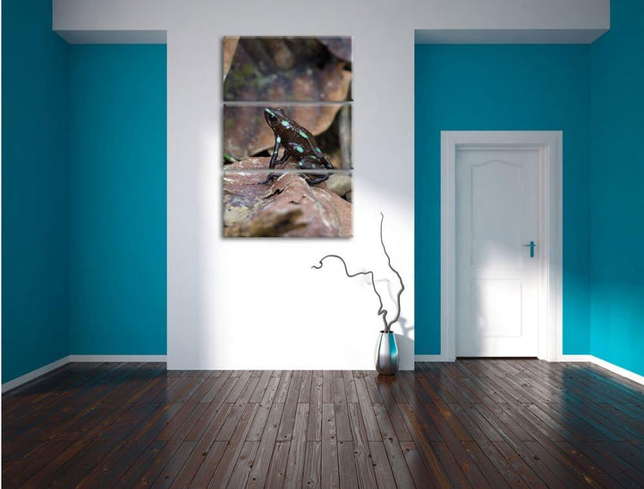 Pixxprint Baumsteiger Frosch als Leinwandbild/Grösse: 3 Teilig (120x80) cm/Wandbild/Kunstdruck/ferti