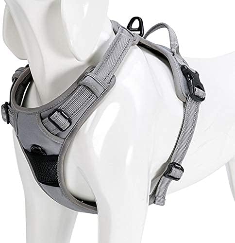 WINHYEPET Truelove Hundegeschirr No-Pull Reflektierendes verstellbar Haustiergeschirr mit 2 Leinencl