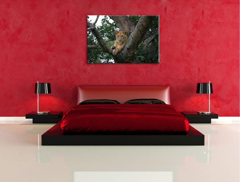 schöne Löwin auf Baum Leinwand, XXL riesige Bilder fertig gerahmt mit Keilrahmen, Kunstdruck auf Wan